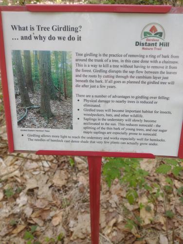 Education about tree girdling.
