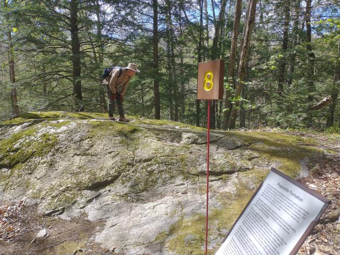 Default image for Distant Hill Nature Trails, a 4.8-mile trail in Alstead, New Hampshire (US)