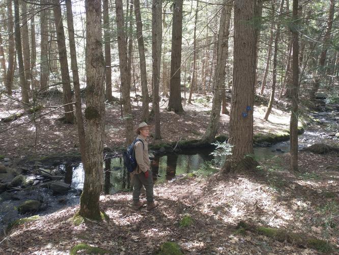 Beautiful stream along the trail 