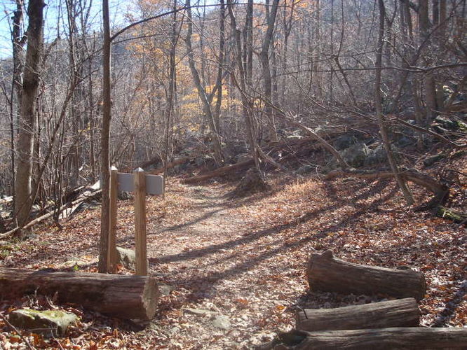 Picture 36 of Dobie Mountain Hike 111110