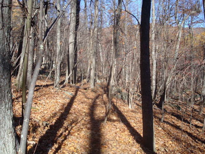 Picture 35 of Dobie Mountain Hike 111110