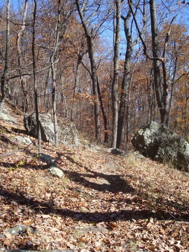 Picture 33 of Dobie Mountain Hike 111110