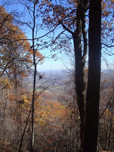 Picture 32 of Dobie Mountain Hike 111110