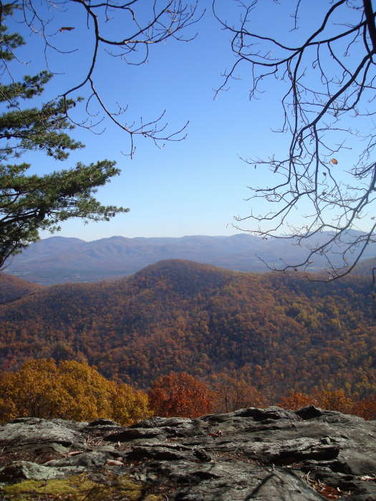 Picture 30 of Dobie Mountain Hike 111110