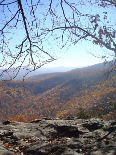 Picture 29 of Dobie Mountain Hike 111110