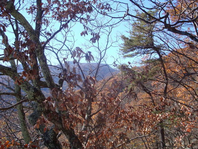 Picture 25 of Dobie Mountain Hike 111110