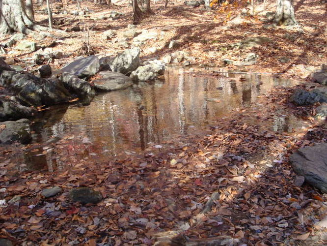 Picture 21 of Dobie Mountain Hike 111110