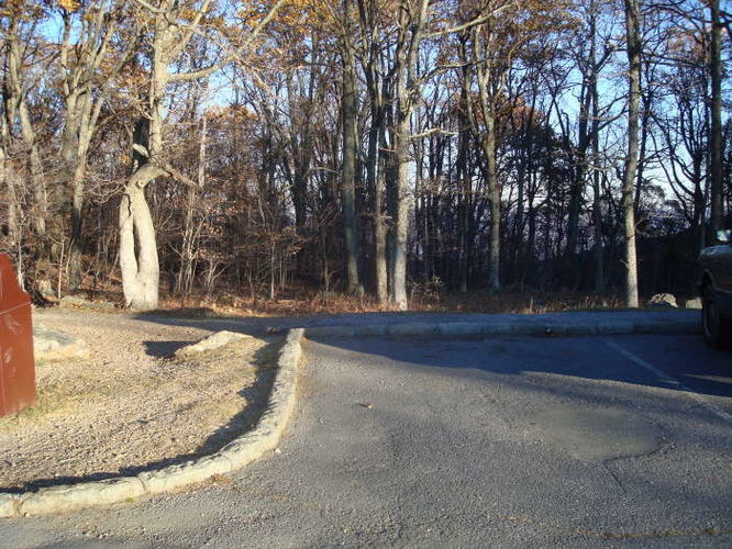 Picture 2 of Dobie Mountain Hike 111110