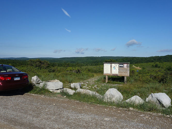 Picture 95 of Dolly Sods Lions Head Hike 072514