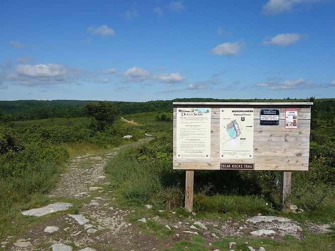Picture 94 of Dolly Sods Lions Head Hike 072514