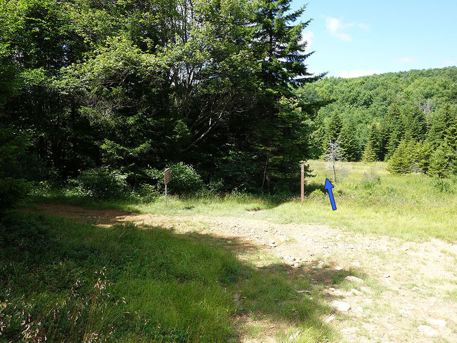 Picture 93 of Dolly Sods Lions Head Hike 072514