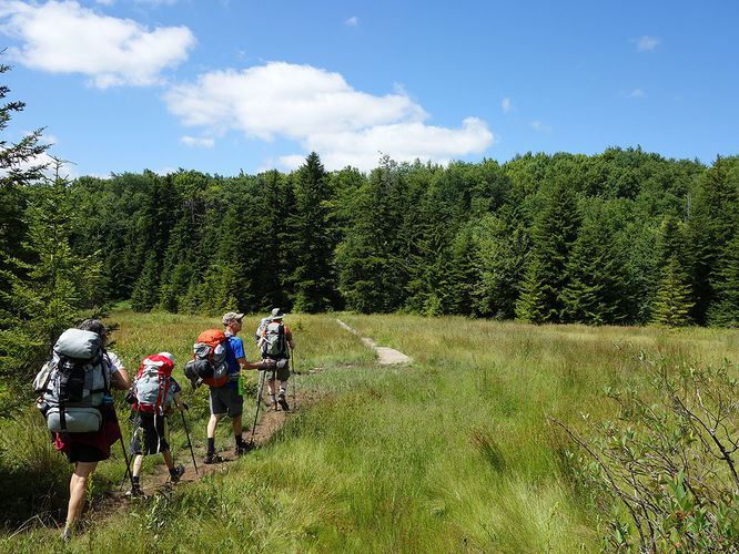 Picture 92 of Dolly Sods Lions Head Hike 072514