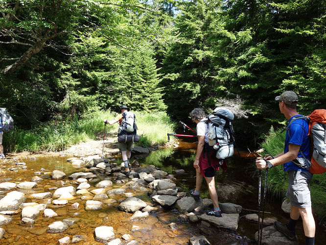 Picture 91 of Dolly Sods Lions Head Hike 072514