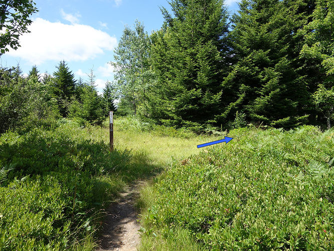 Picture 89 of Dolly Sods Lions Head Hike 072514