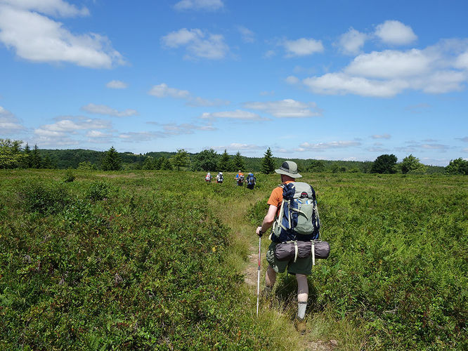 Picture 87 of Dolly Sods Lions Head Hike 072514