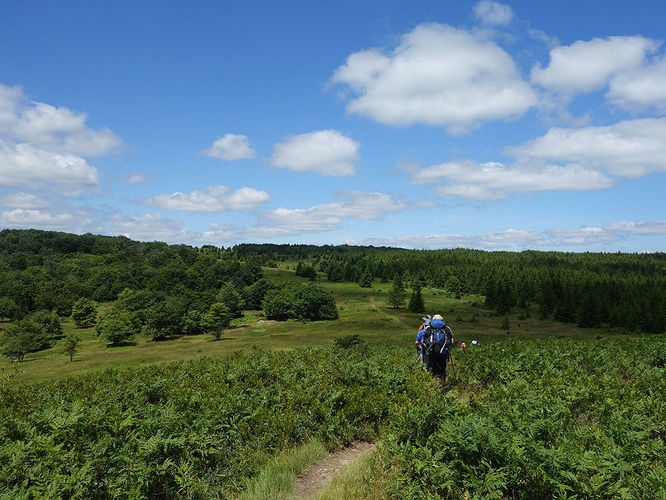 Picture 85 of Dolly Sods Lions Head Hike 072514