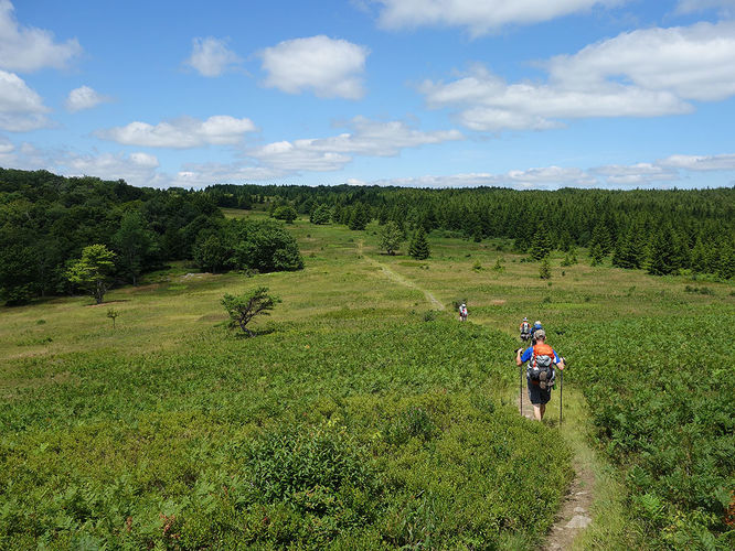Picture 84 of Dolly Sods Lions Head Hike 072514
