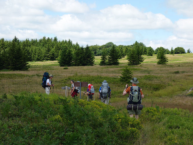 Picture 83 of Dolly Sods Lions Head Hike 072514