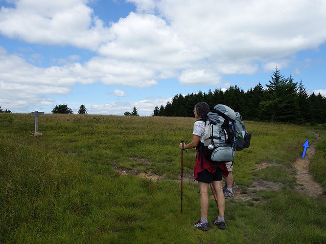 Picture 82 of Dolly Sods Lions Head Hike 072514