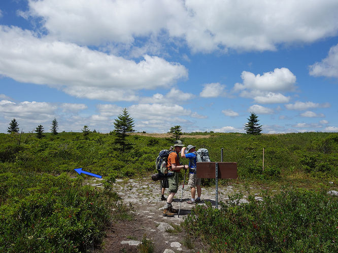 Picture 79 of Dolly Sods Lions Head Hike 072514