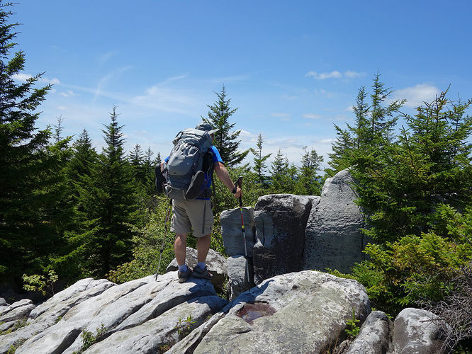 Picture 76 of Dolly Sods Lions Head Hike 072514