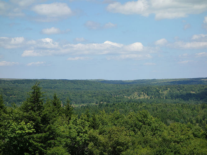 Picture 75 of Dolly Sods Lions Head Hike 072514