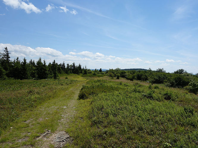Picture 74 of Dolly Sods Lions Head Hike 072514