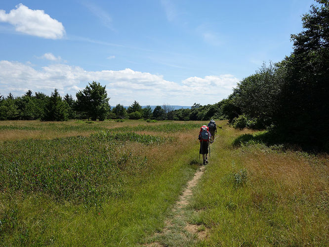 Picture 72 of Dolly Sods Lions Head Hike 072514