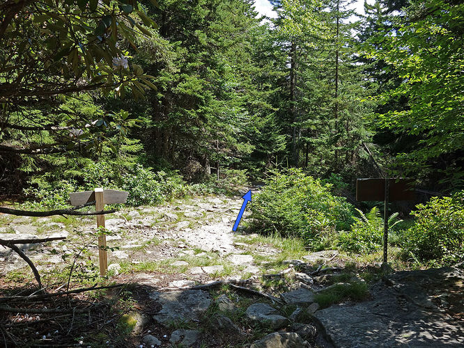 Picture 71 of Dolly Sods Lions Head Hike 072514