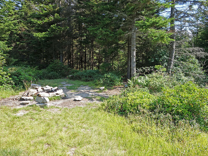 Picture 68 of Dolly Sods Lions Head Hike 072514