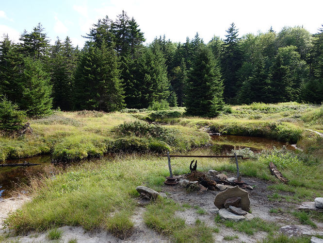 Picture 66 of Dolly Sods Lions Head Hike 072514