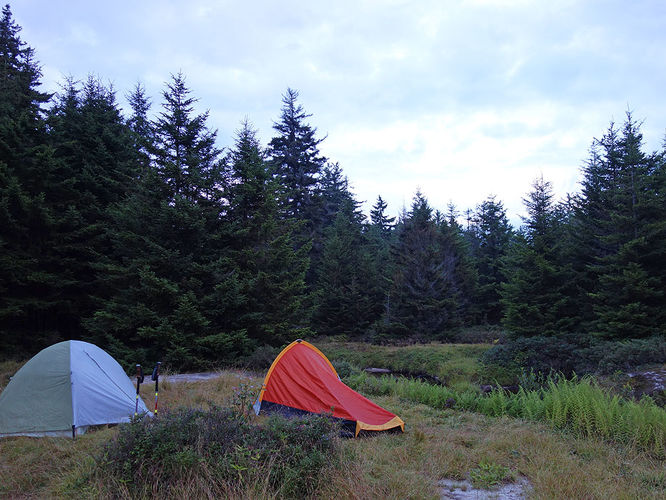 Picture 65 of Dolly Sods Lions Head Hike 072514