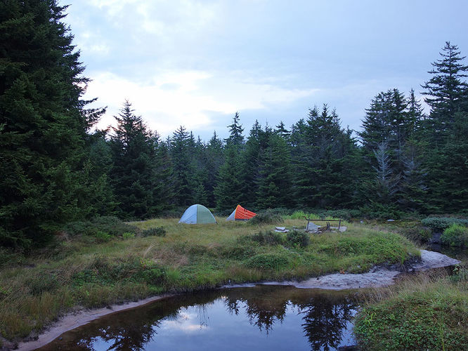 Picture 64 of Dolly Sods Lions Head Hike 072514