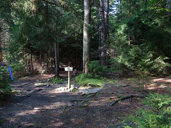 Picture 63 of Dolly Sods Lions Head Hike 072514