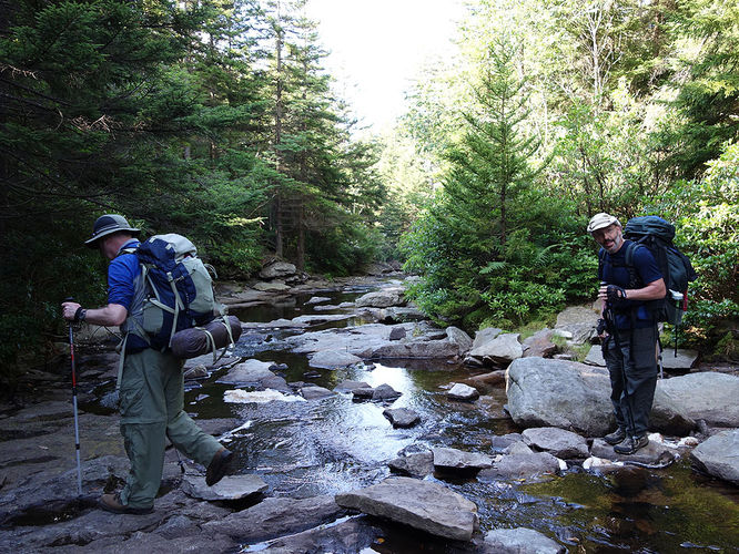 Picture 62 of Dolly Sods Lions Head Hike 072514