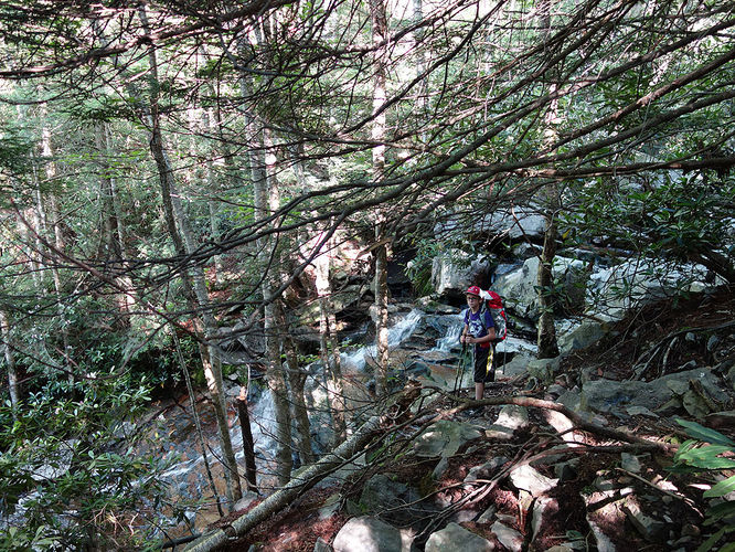 Picture 61 of Dolly Sods Lions Head Hike 072514