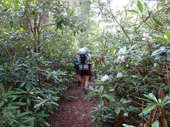 Picture 60 of Dolly Sods Lions Head Hike 072514