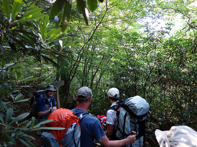 Picture 59 of Dolly Sods Lions Head Hike 072514