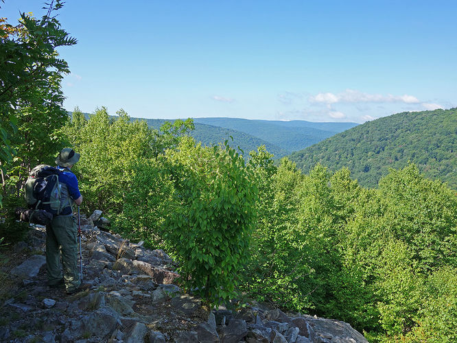 Picture 58 of Dolly Sods Lions Head Hike 072514
