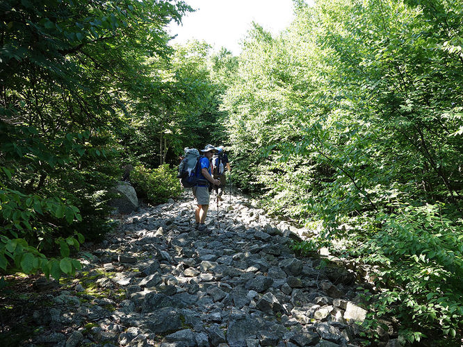 Picture 57 of Dolly Sods Lions Head Hike 072514