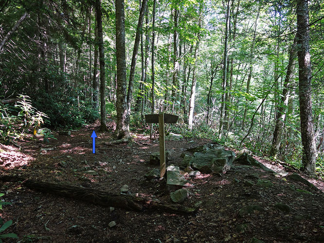 Picture 56 of Dolly Sods Lions Head Hike 072514