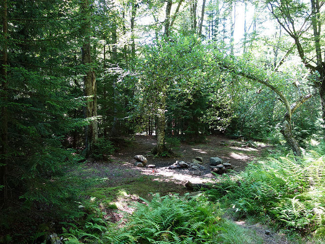 Picture 55 of Dolly Sods Lions Head Hike 072514