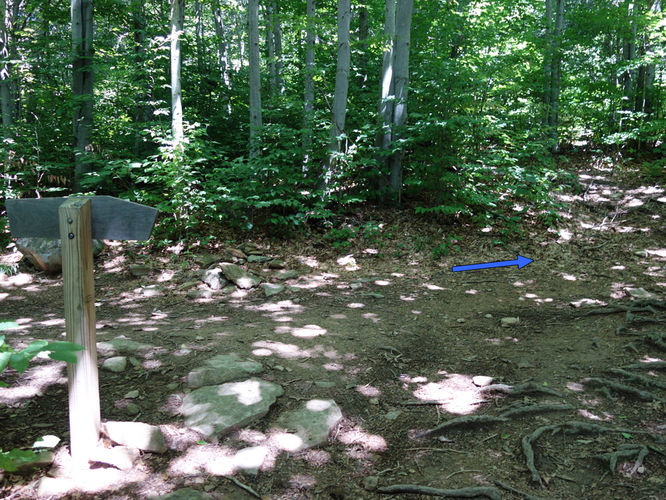 Picture 52 of Dolly Sods Lions Head Hike 072514