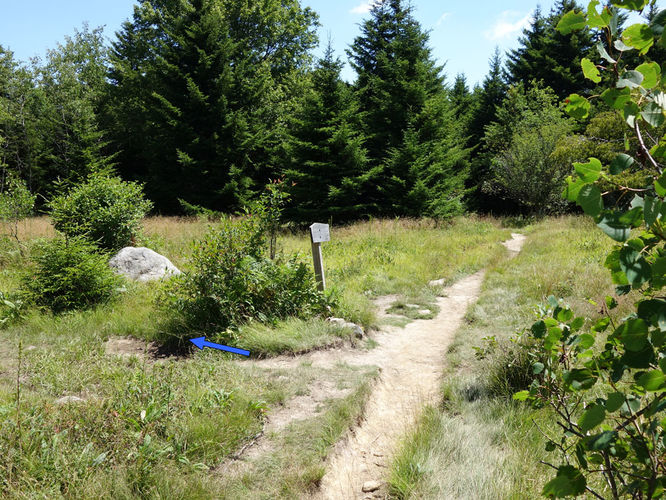 Picture 51 of Dolly Sods Lions Head Hike 072514