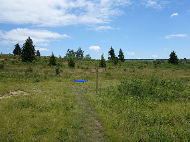 Picture 50 of Dolly Sods Lions Head Hike 072514