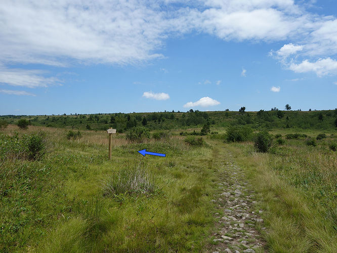 Picture 49 of Dolly Sods Lions Head Hike 072514