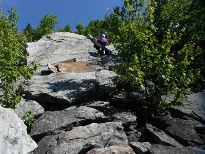 Picture 46 of Dolly Sods Lions Head Hike 072514