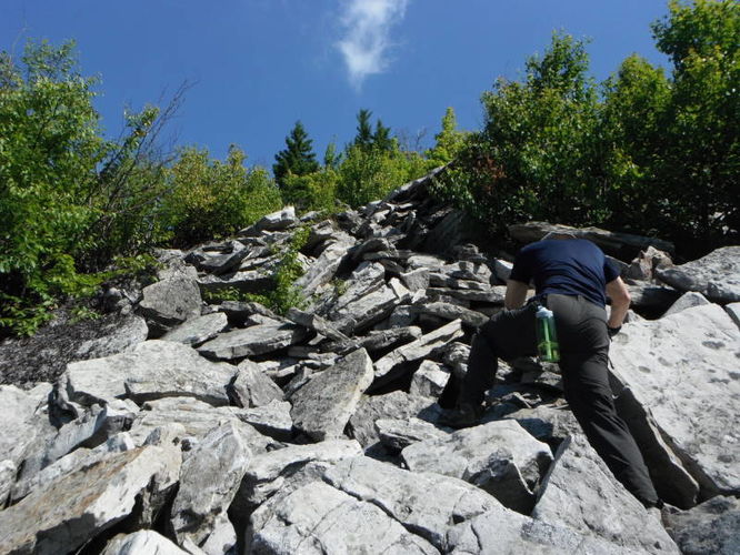 Picture 45 of Dolly Sods Lions Head Hike 072514
