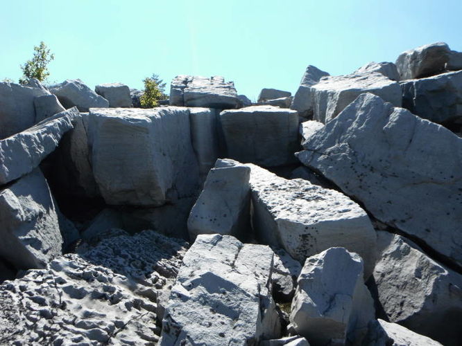Picture 44 of Dolly Sods Lions Head Hike 072514