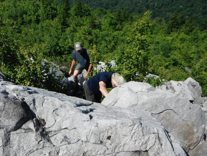 Picture 43 of Dolly Sods Lions Head Hike 072514